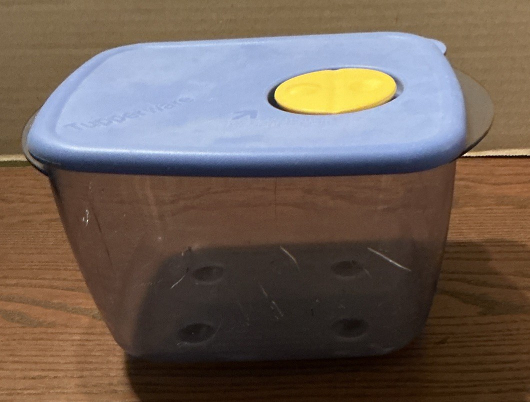 Tupperware Rock N Serve Medium Container 6-1/4 Cup 3384A-3 Blue Lid