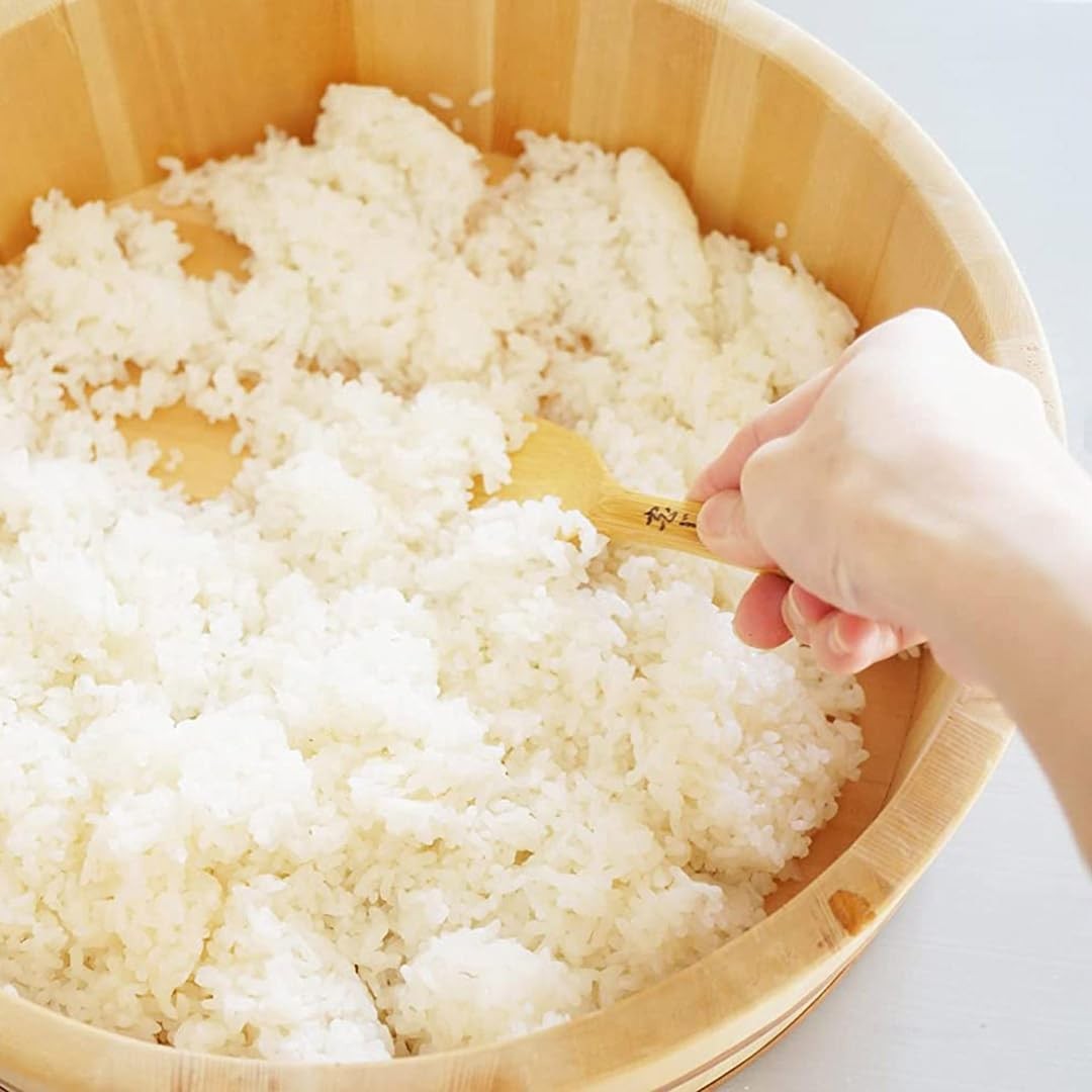 TIKUSAN Wooden Hangiri Sushi Rice Mixing Tub PP Band with Lid Made in Japan M…