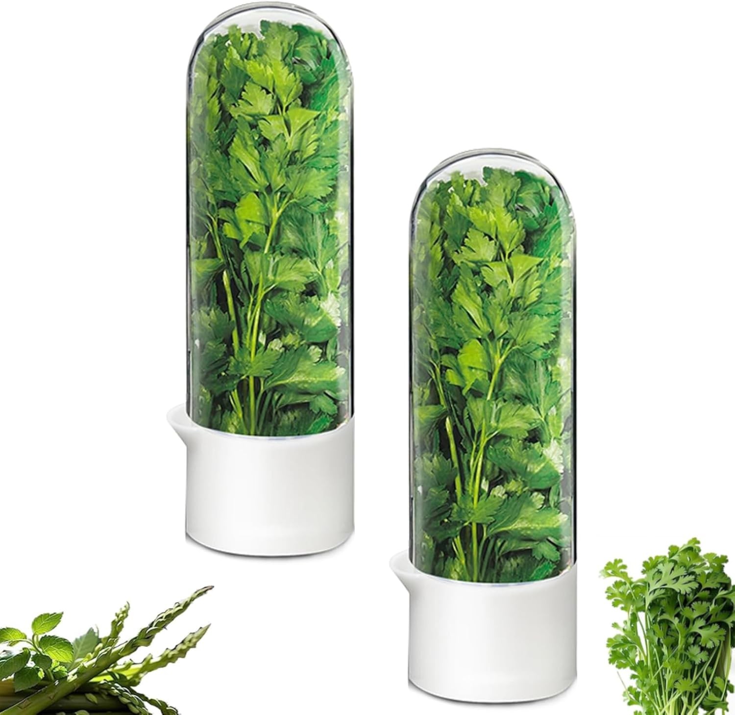 Cilantro Container for Fridge, Fresh Herb Keeper for Cilantro 2-3 Weeks (2PCS)