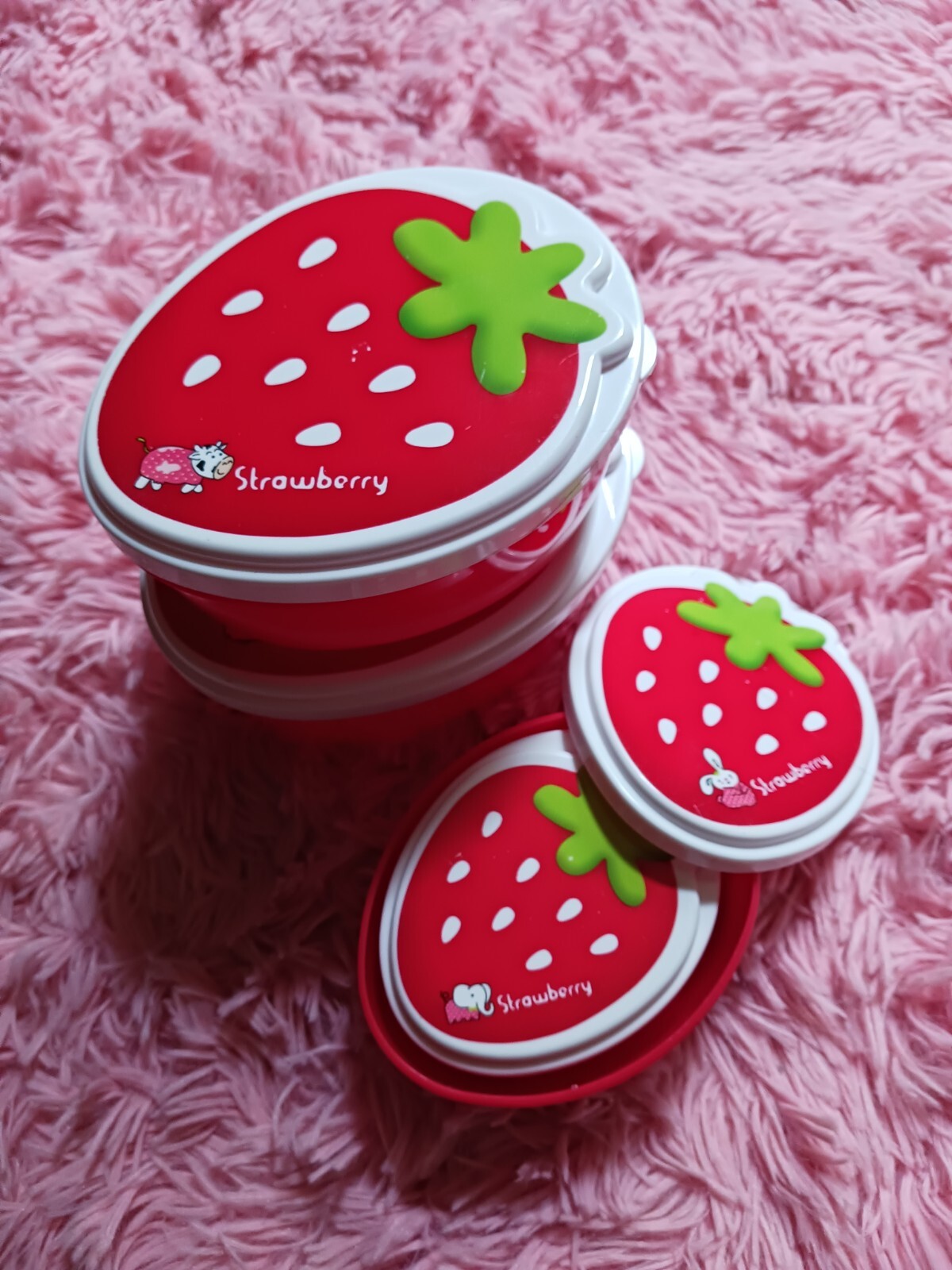 NEW 4 Pcs Lunch Box Set / Storage Container Not Easy to Leak, Microwave Safe