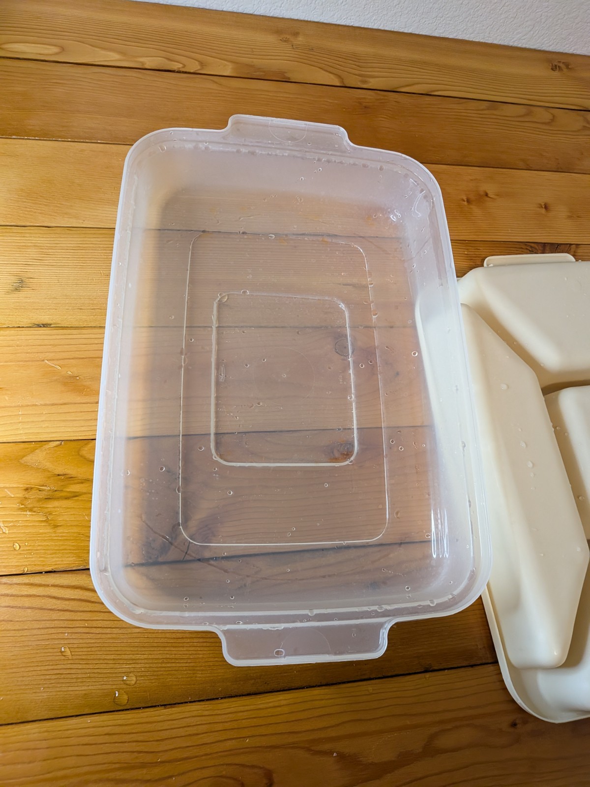 Vintage Rubbermaid Servin Saver 5 Compartment Party Tray Almond Beige 0833 0822