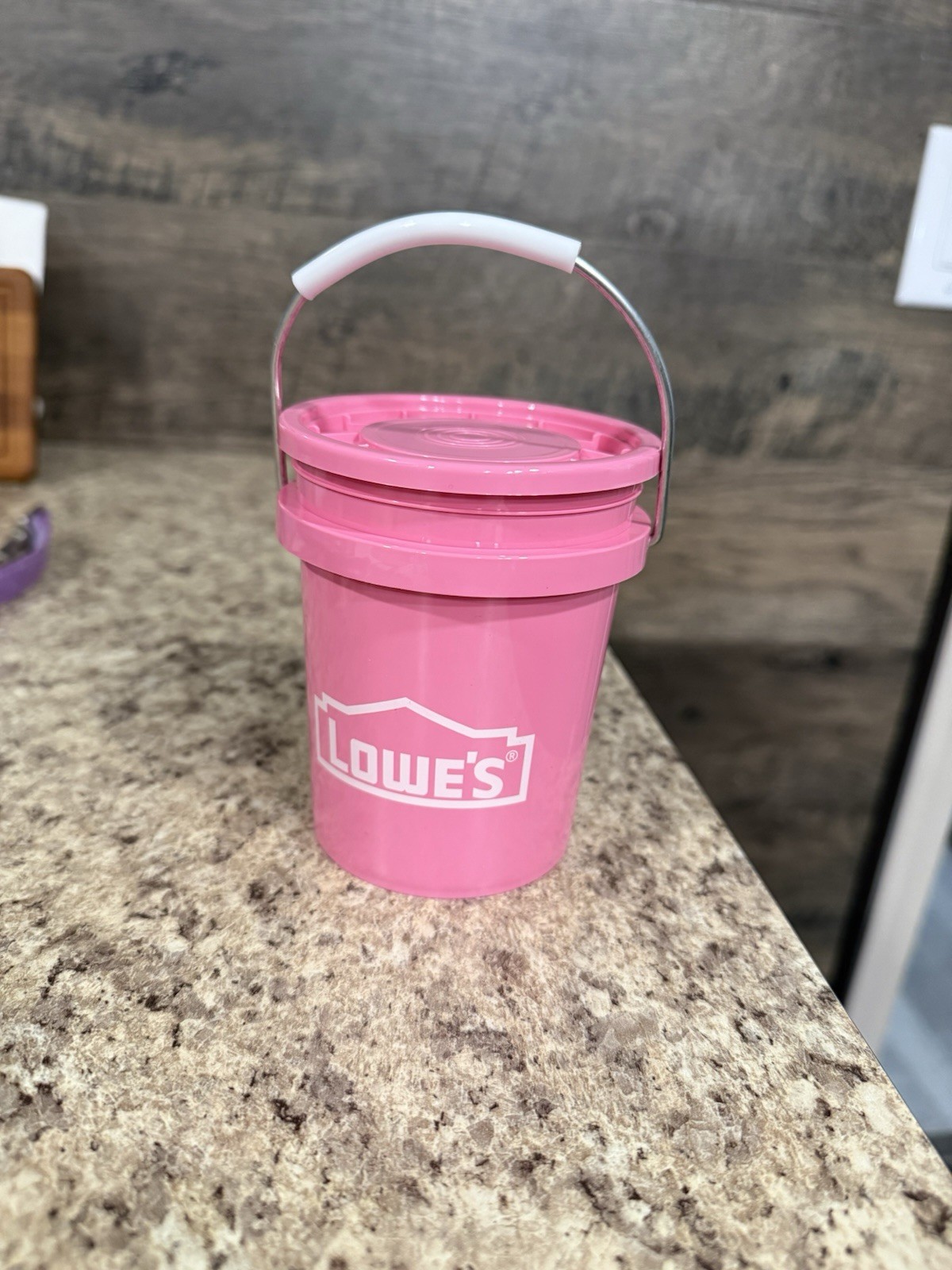 PINK Lowe’s 0.5-Quart BPA-Free Mini Paint Bucket With Lid 🩷🪣