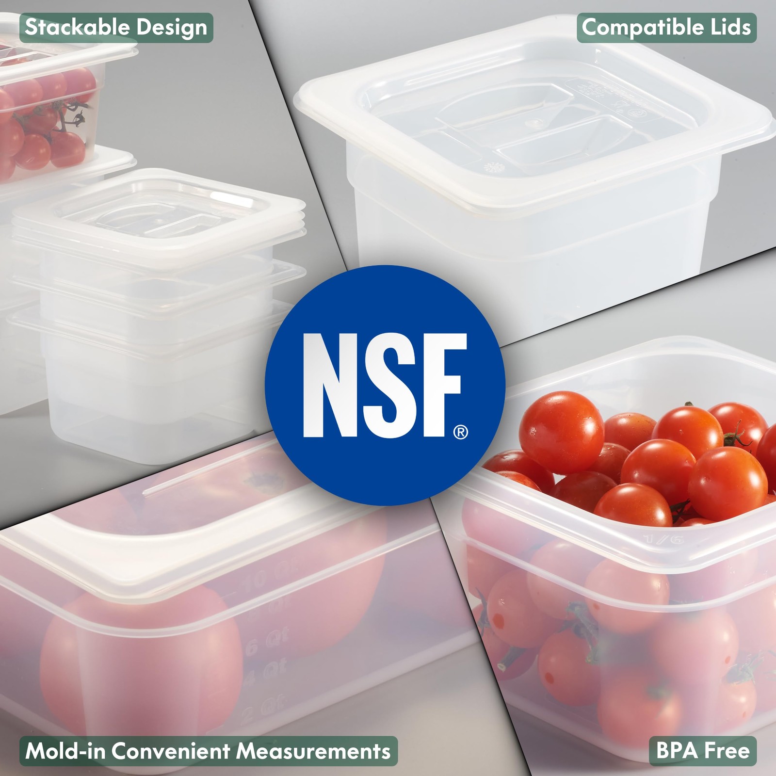 6 Pack 1/9 Size 4 Inch Deep Food Pan Handled Lid Translucent Polypropylene