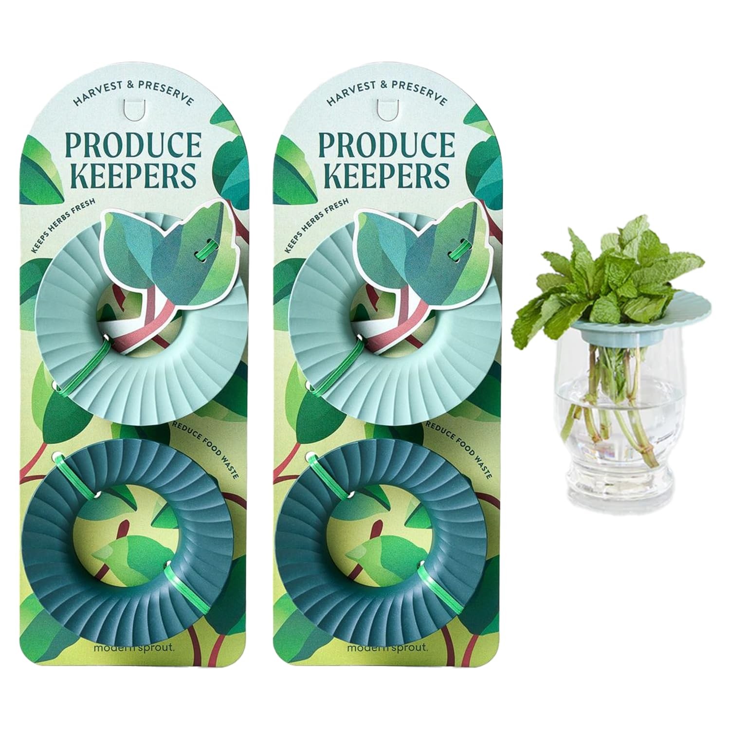 Produce Keeper for Fresh Herbs & Greens – Eco-Friendly, BPA-Free, Sustainable…