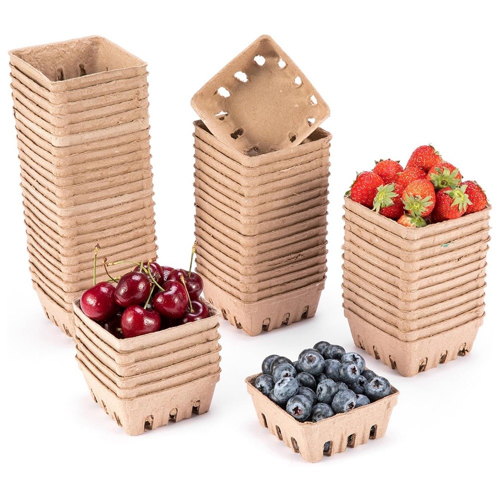 60 Pack Pulp Fiber Berry Basket, for Strawberry Blueberry Raspberry Grape5401