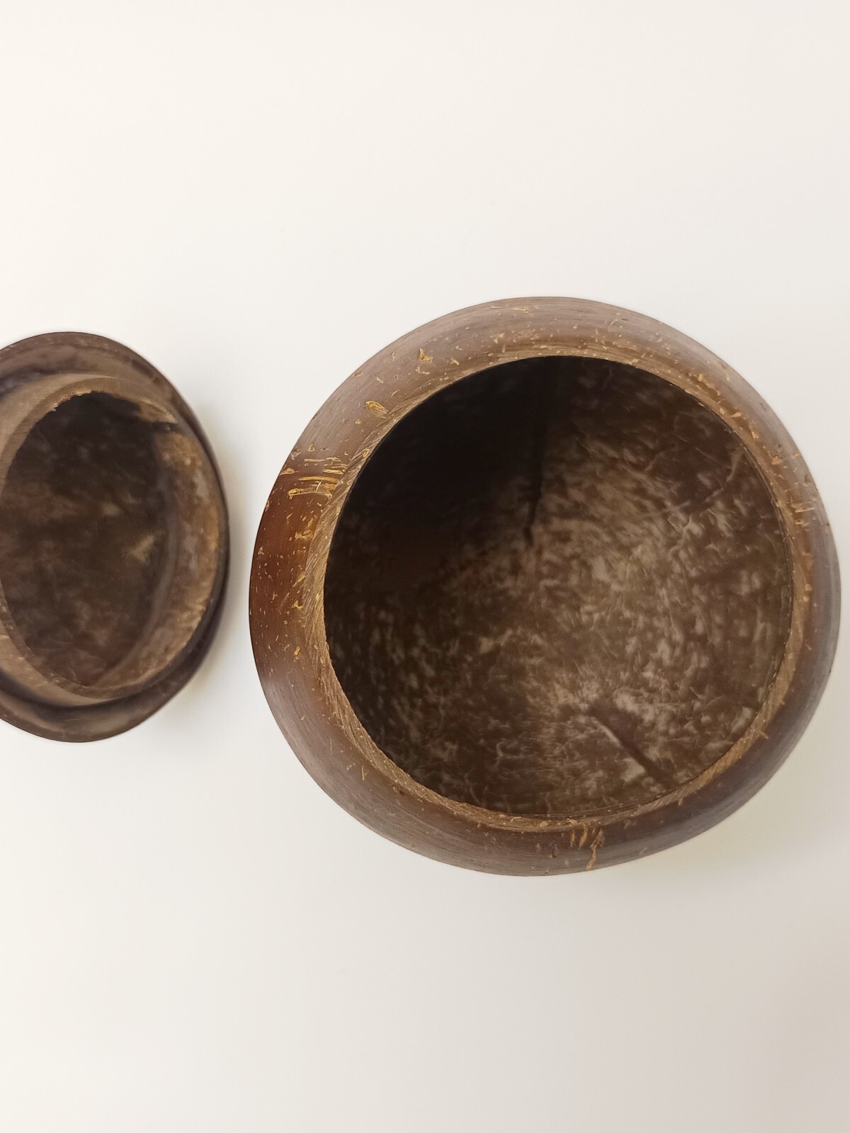 Coconut Shell Container