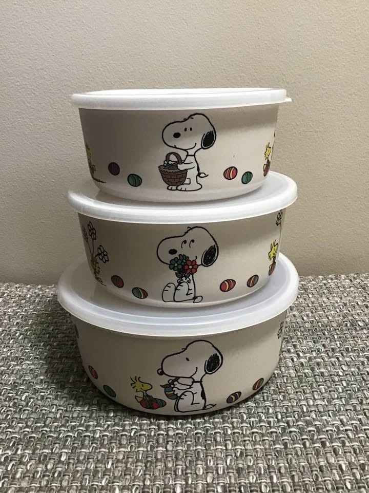 Snoopy & the Peanuts Gang Bamboo Storage Containers with Lids – various sizes
