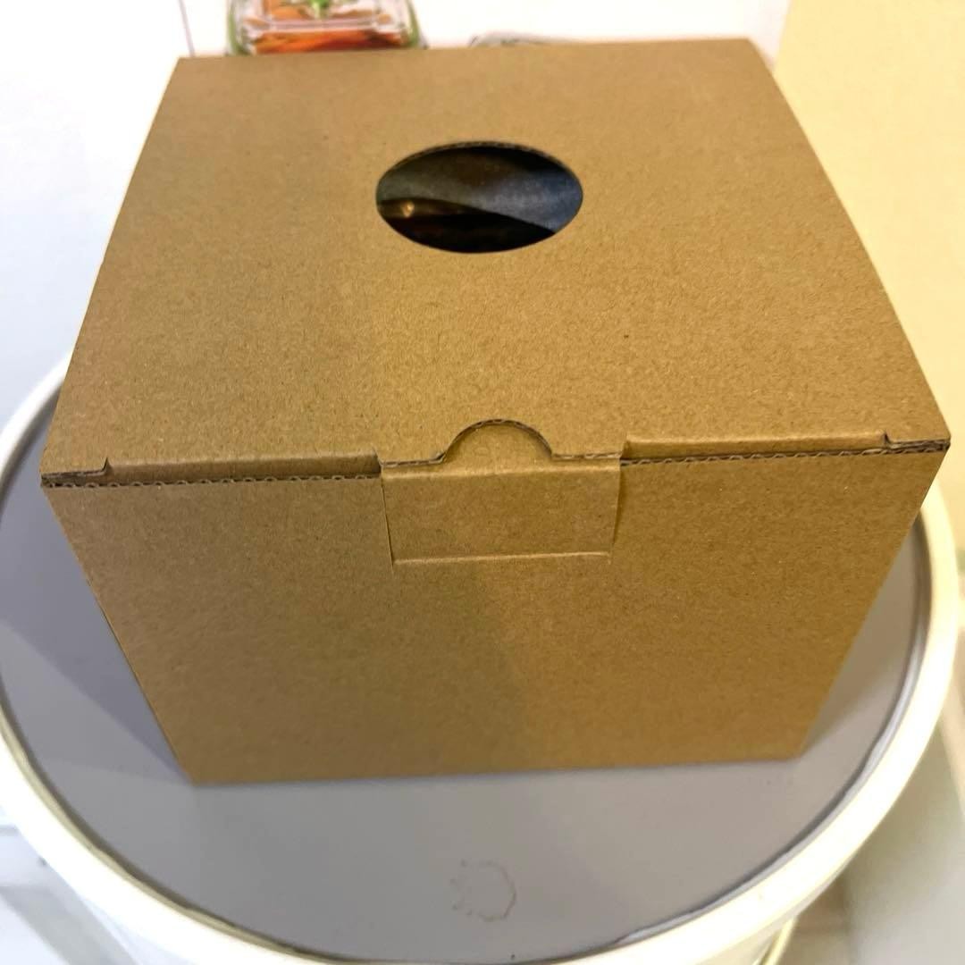 FoodSaver Vacuum Fresh Box Vacuum Container 2 pieces jp