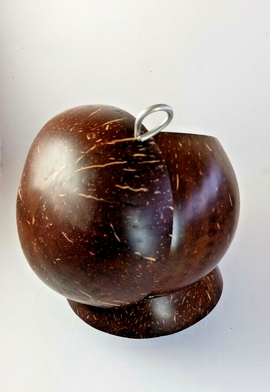 Salt Container with Spoon Coconut Shell Handmade Kitchen Zero Waste Eco-friendly