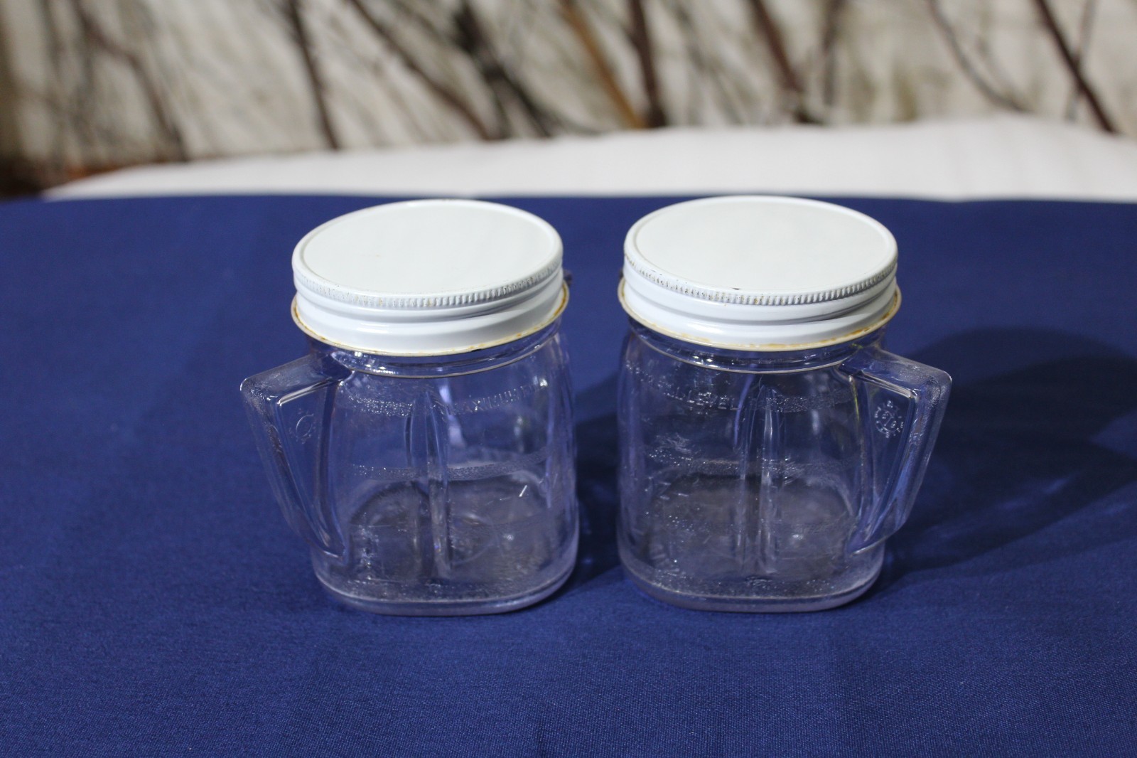 Oster Mini Blend Plastic Container with Lid – Set of 2
