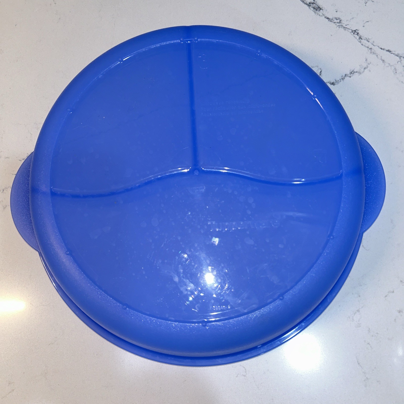 Tupperware Crystal Wave Divided Microwavable Covered Dish Blue 3284C Vented 10”