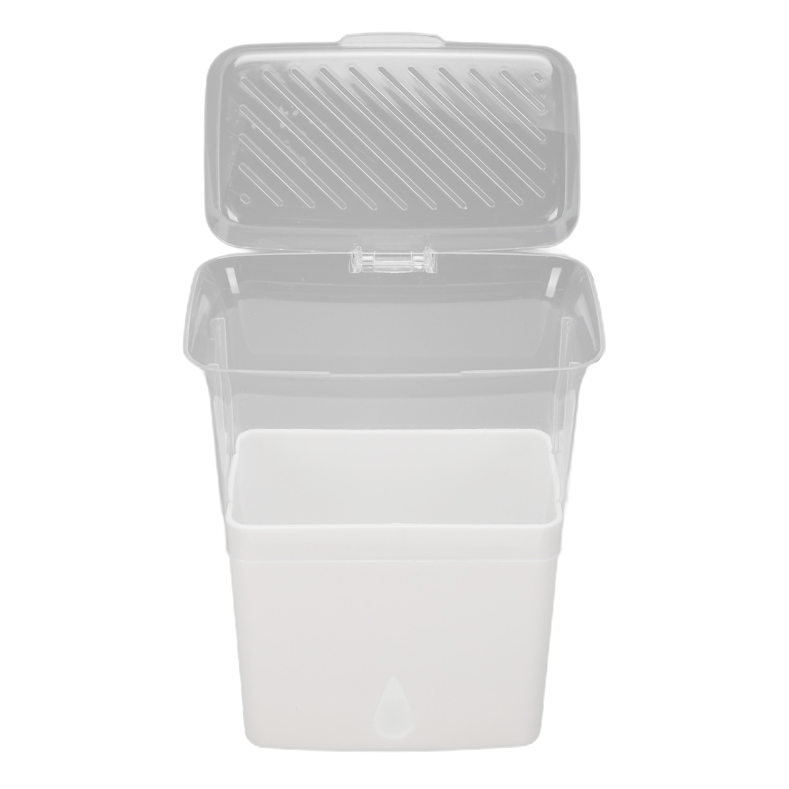 Leakproof Cilantro Keeper For Extended Freshness Ideal For Fridge Organization