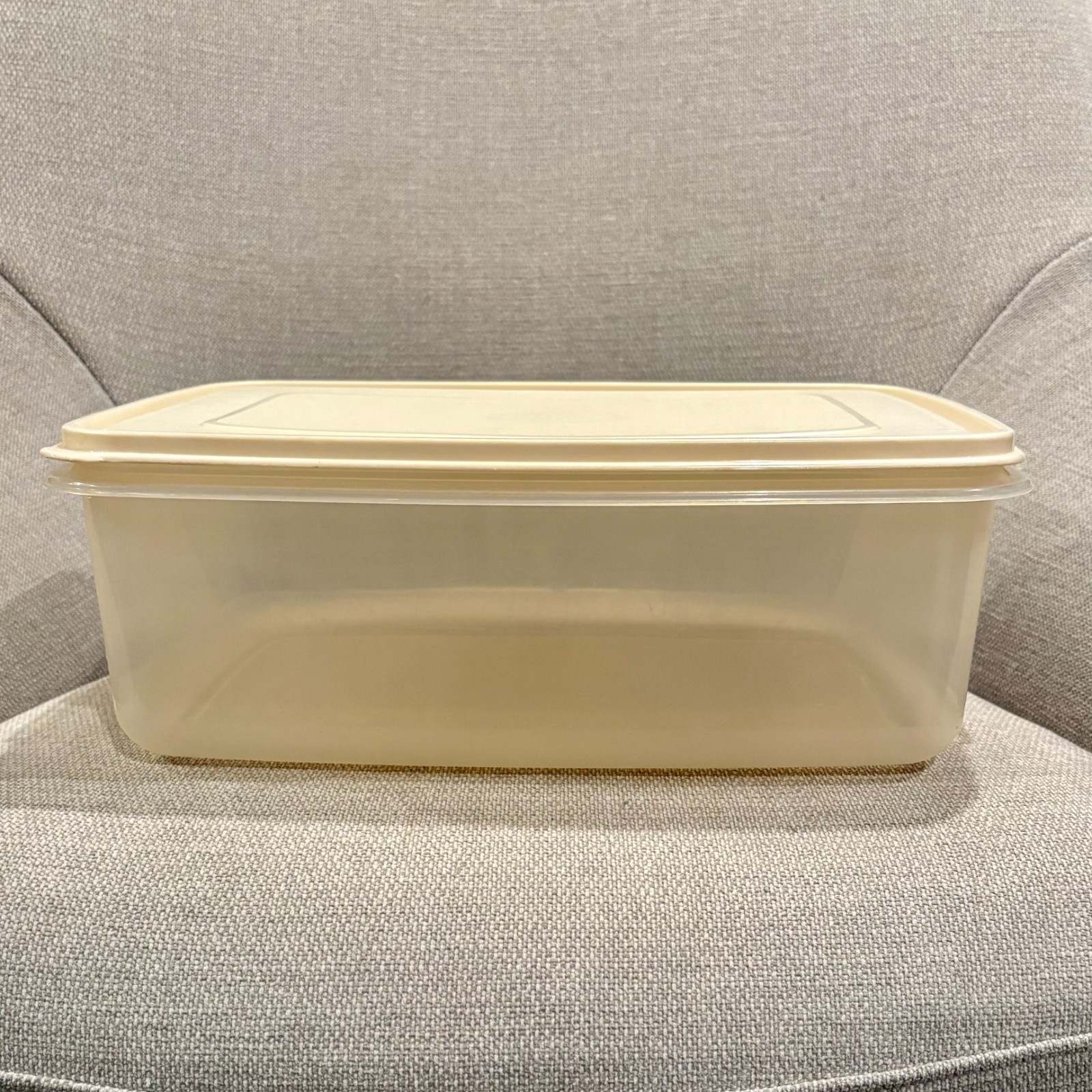 Vtg Rubbermaid Servin Saver Rectangle 33 Cup Storage Container #8 Almond Lid USA