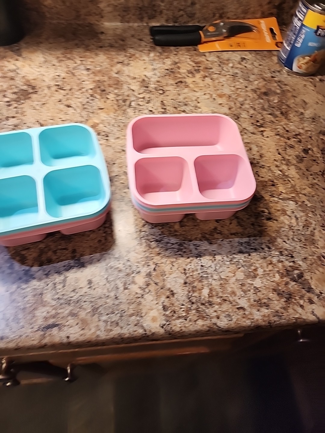 4x 4 Section To-Go Food Containers + Lids