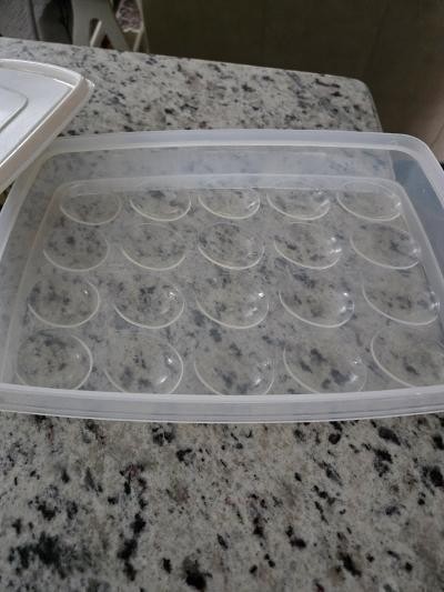 Rubbermaid Egg Carrier – 20 Eggs