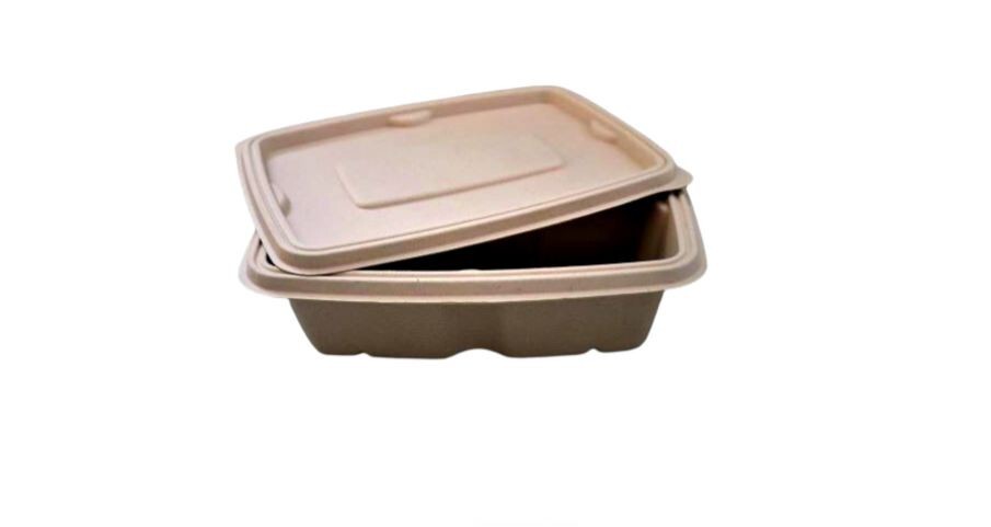 5 Nos Rectangle Compostable Container Food Pack Eco Containers Take Out Food New
