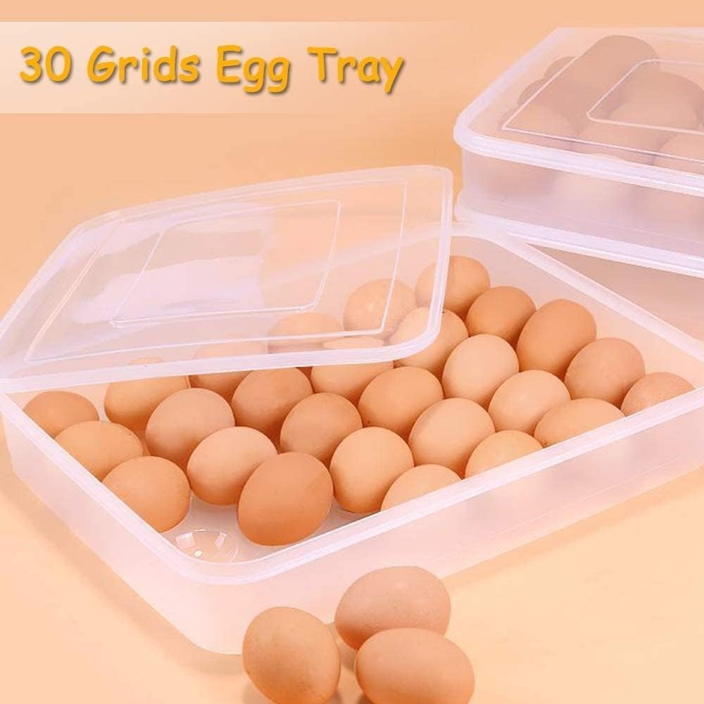 Covered Egg Holder for Refrigerator,30 Deviled Egg Tray with Lid,Plastic Egg …