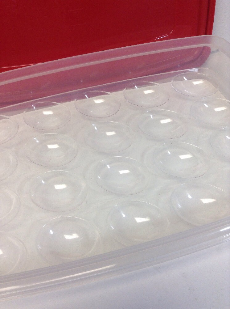Rubbermaid Plastic Egg Container Holds 20 Eggs Clean with Red Lid