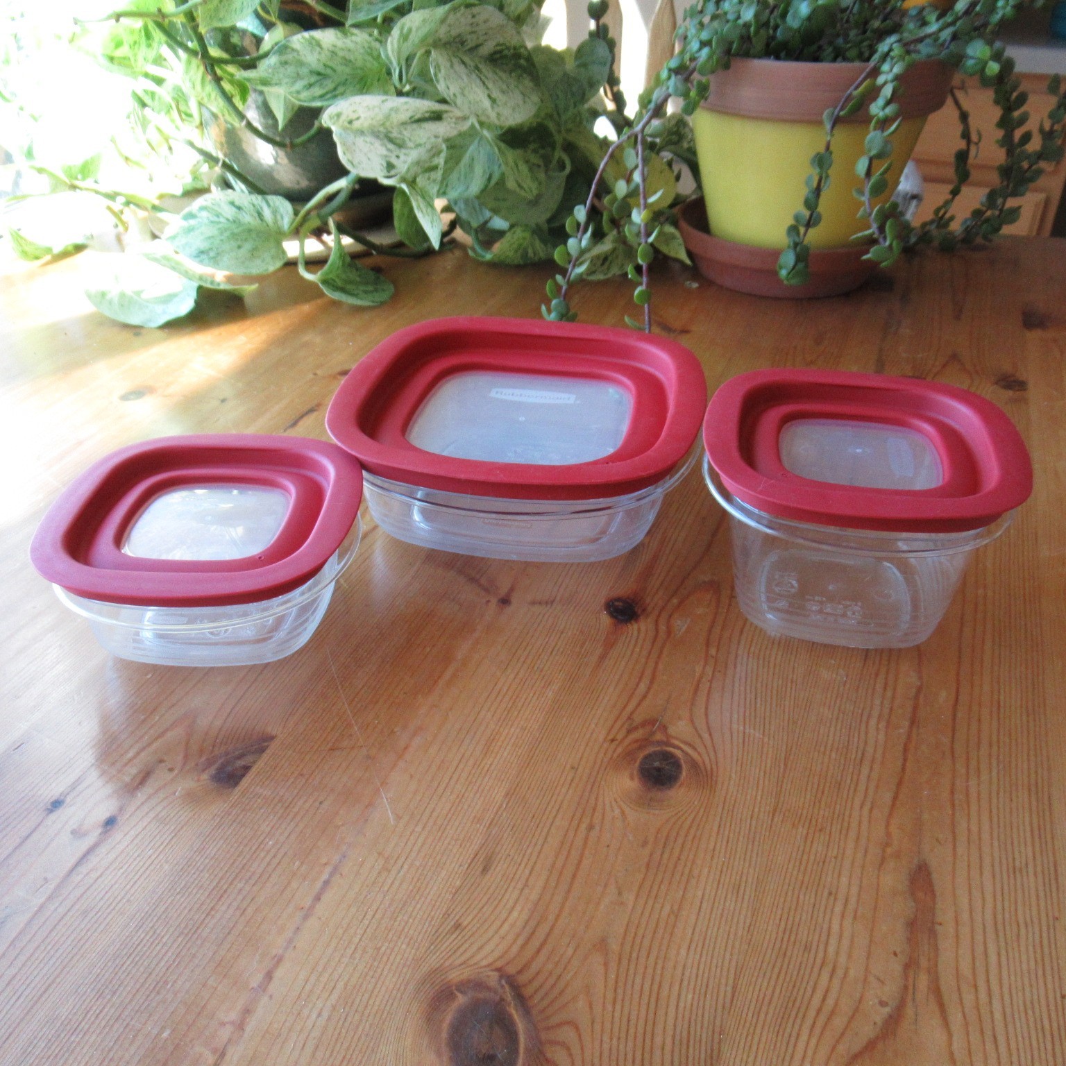 3 Rubbermaid Premier Storage Square Container 3, 2, 1.25 C Stripes Red Lids Lot