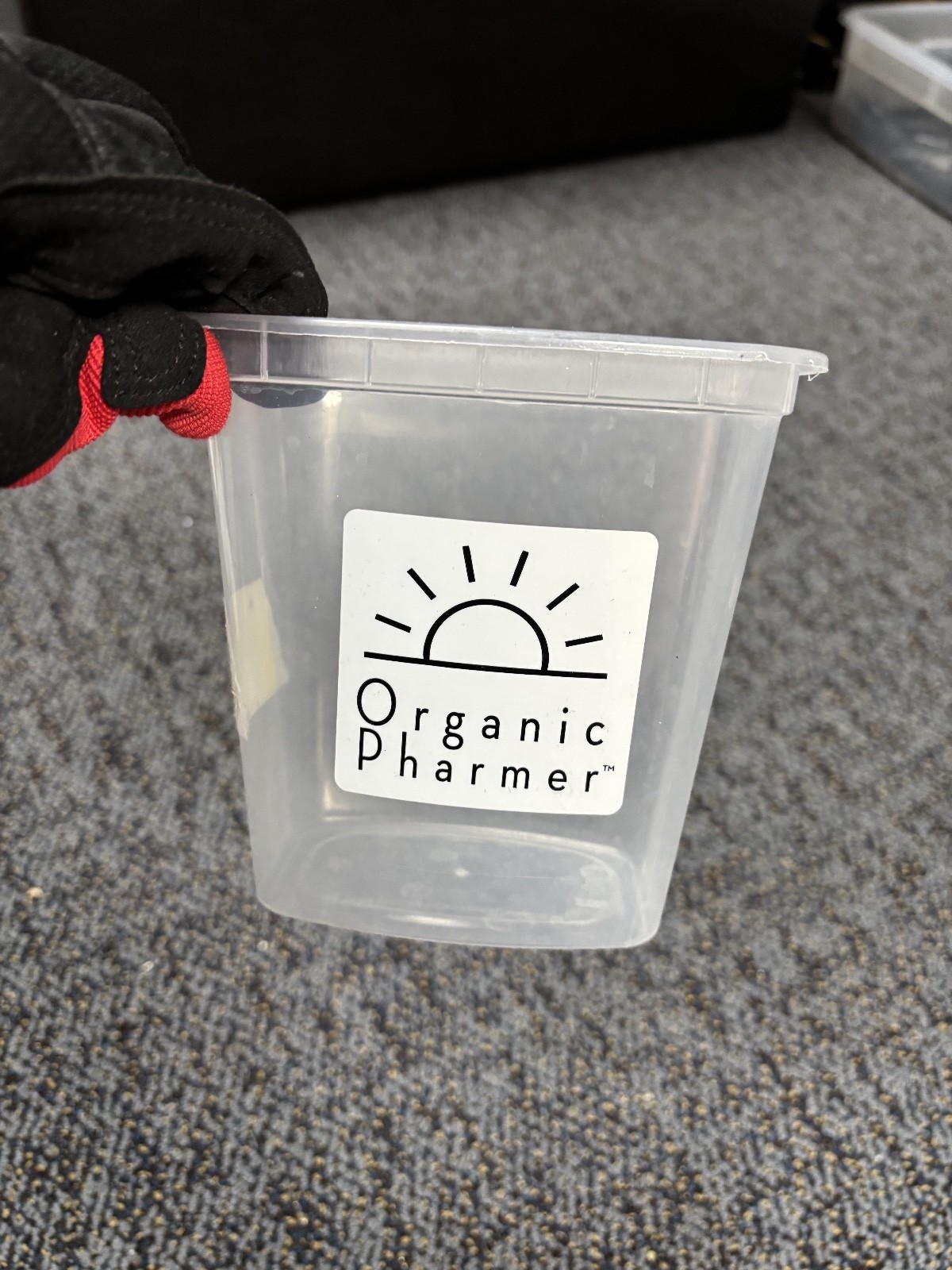 No Lid Square Plastic Container 10