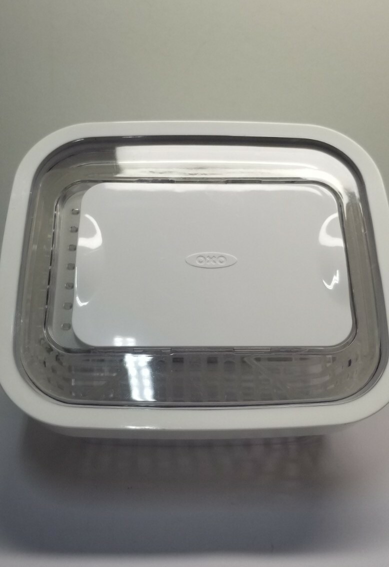 OXO Vegetable Storage Container Green Saver Food Keeper 1.5L/1.6 QT Clear &White