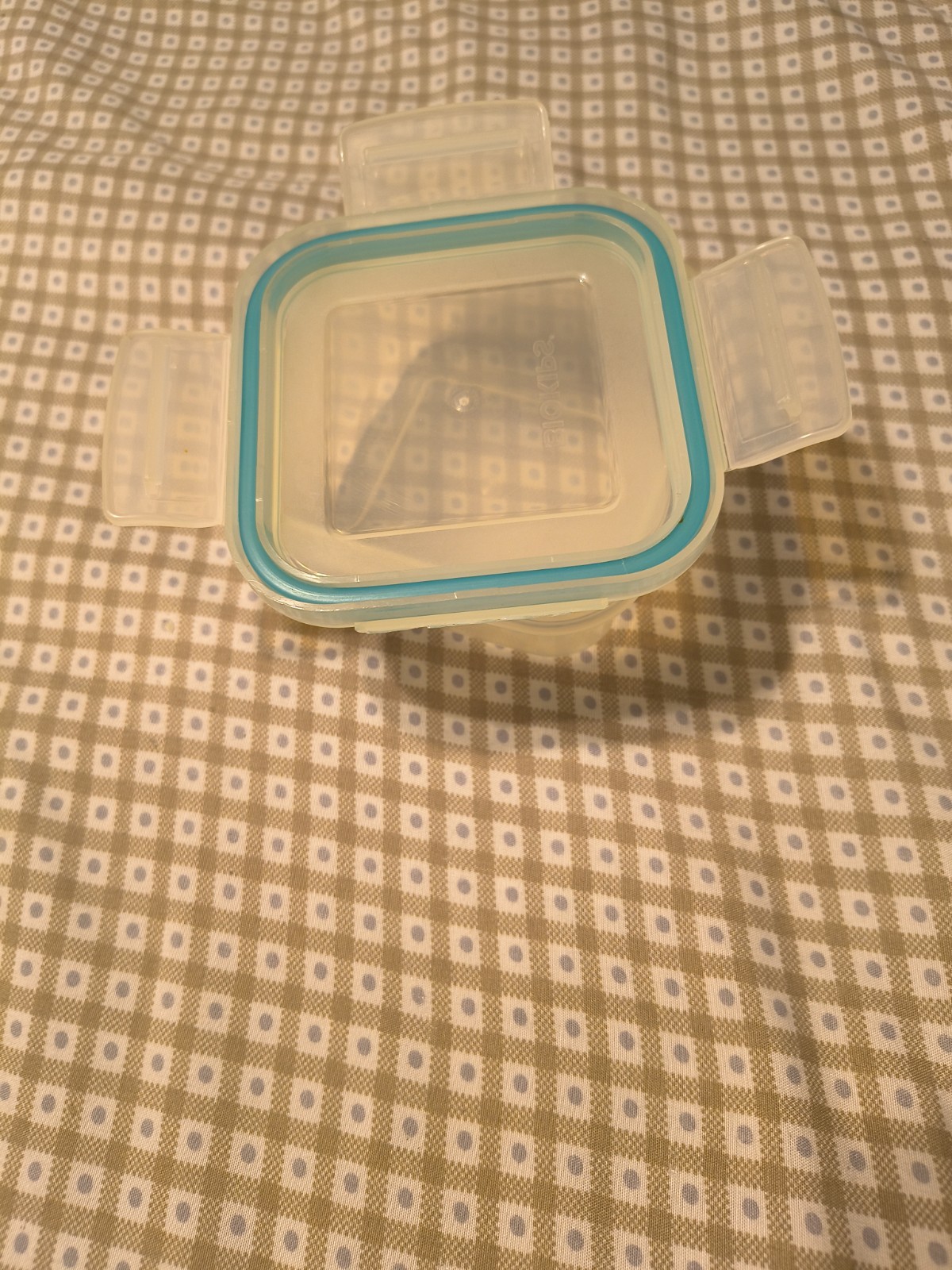 Vintage Snapware Food Storage Container