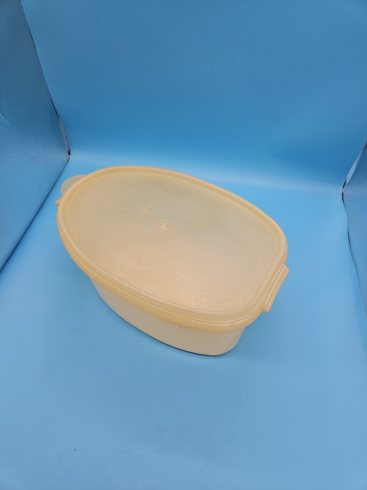 VTG 488 Tupperware Roast Flavor Saver Container Sheer White Oval with Lid & Rack