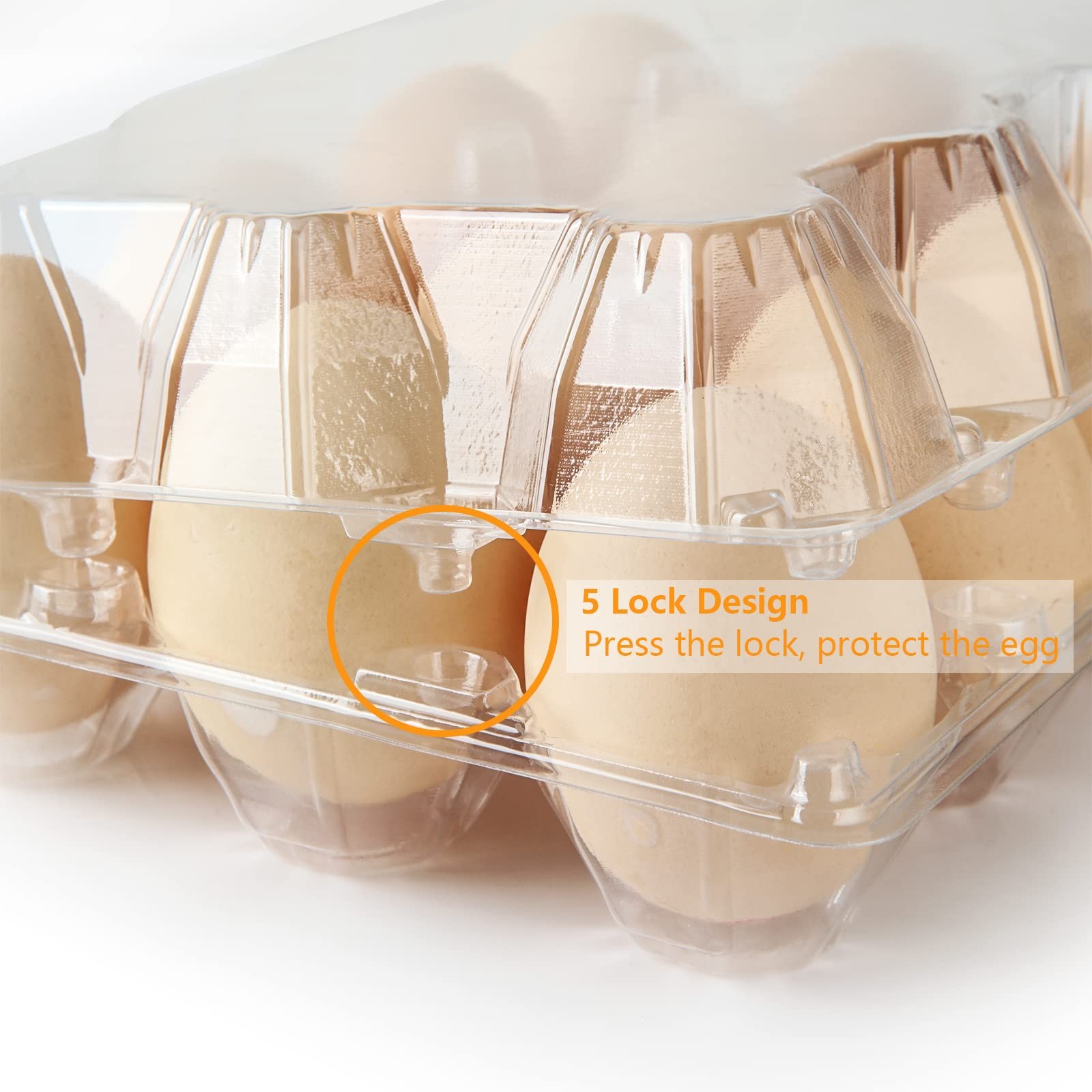Plastic Egg Cartons Bulk 48 Packs Empty Clear Plastic Egg Carton Holds Up To 12