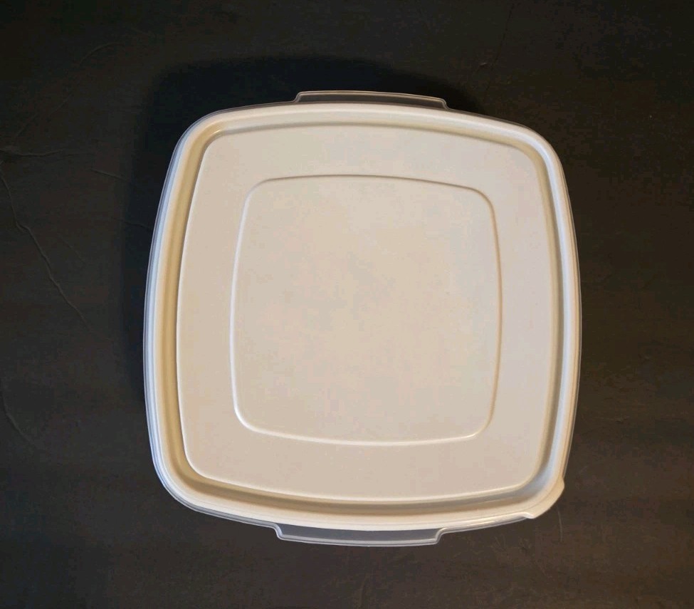 Vintage Rubbermaid Servin Saver Container + Lid 19 cups 1.4 L Almond Square #4