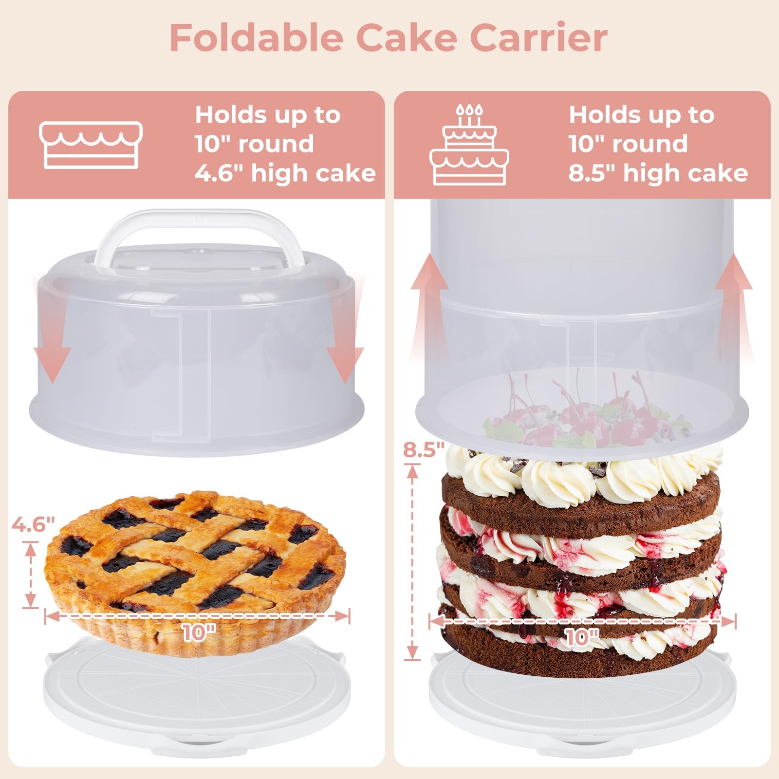 Foldable Cake Carrier, Holds up to 10in Round and 8.5in High Cake, with Lid a…