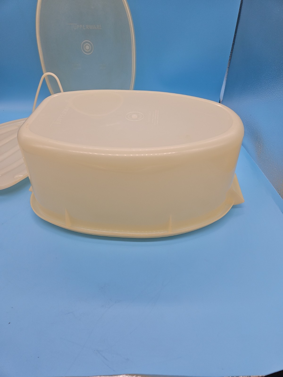 VTG 488 Tupperware Roast Flavor Saver Container Sheer White Oval with Lid & Rack