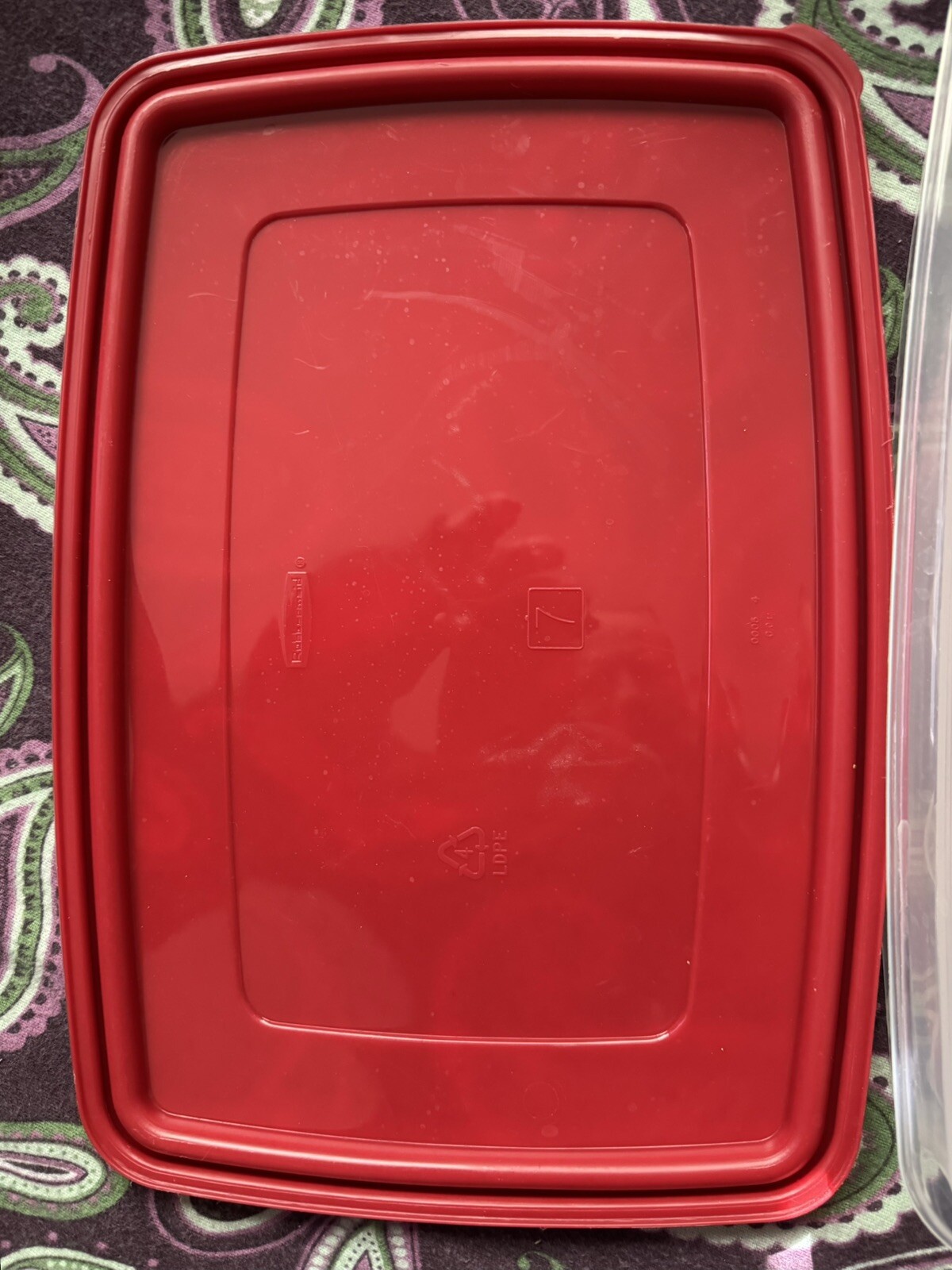 Rubbermaid Servin Saver 20 Deviled Egg Keeper Storage With Red Lid #7