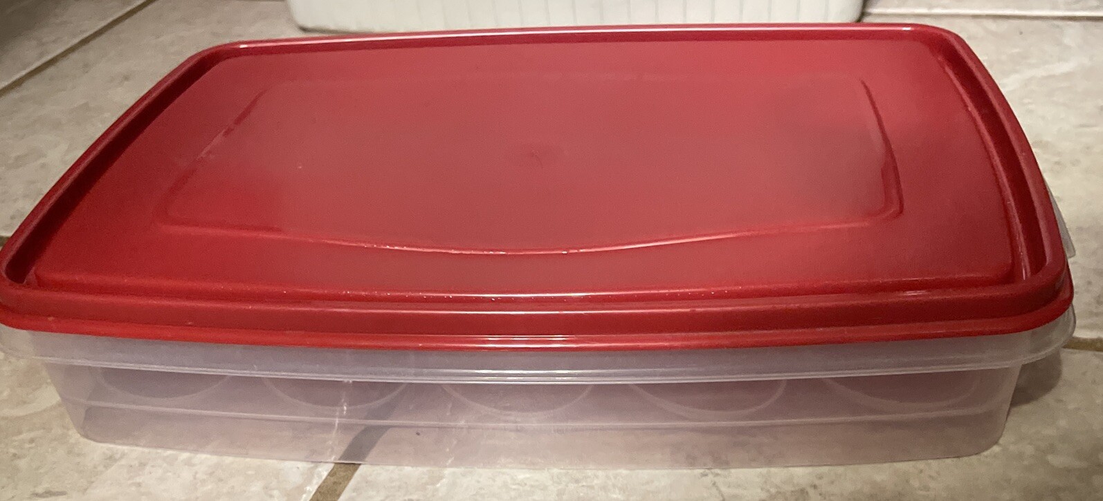 Rubbermaid Deviled Egg Keeper Tray Food Storage Container Hold 20 Eggs.